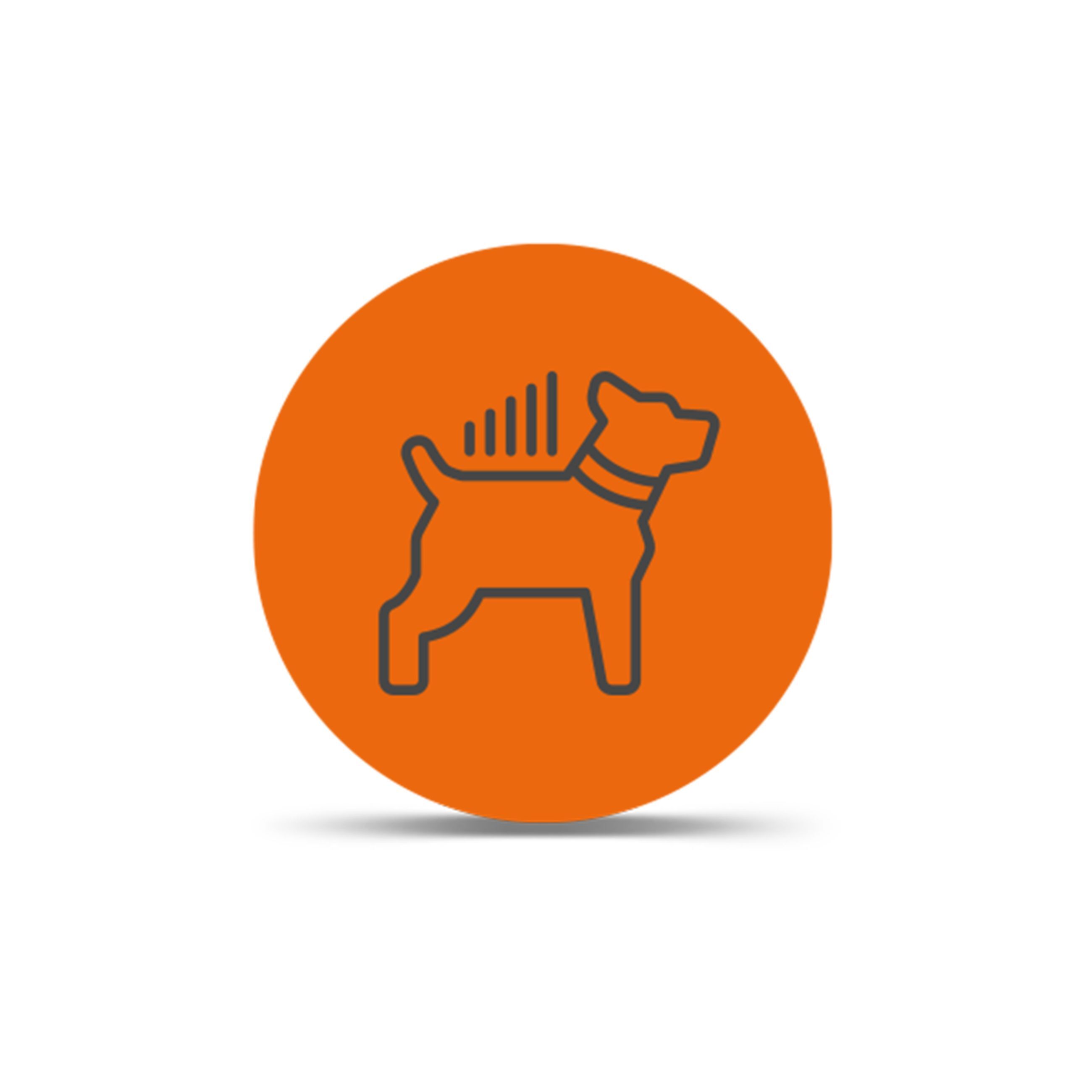 Lte Dog Tracking Plans - Monthly